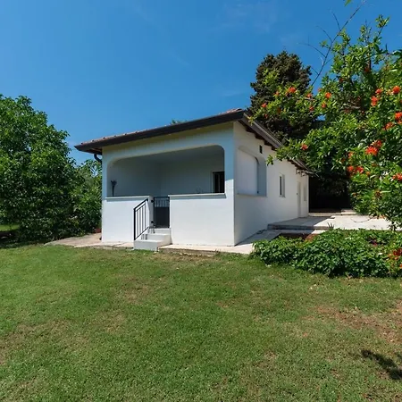 Saladinka With Whirlpool