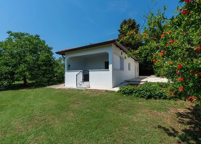 Saladinka With Whirlpool